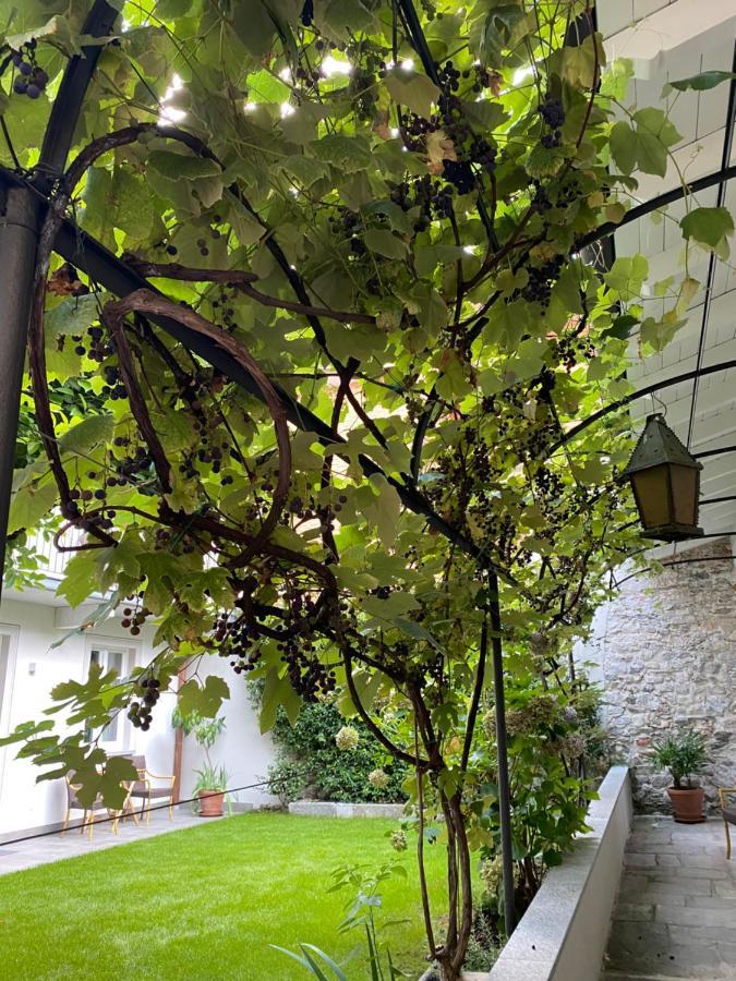 Apartment Garden *