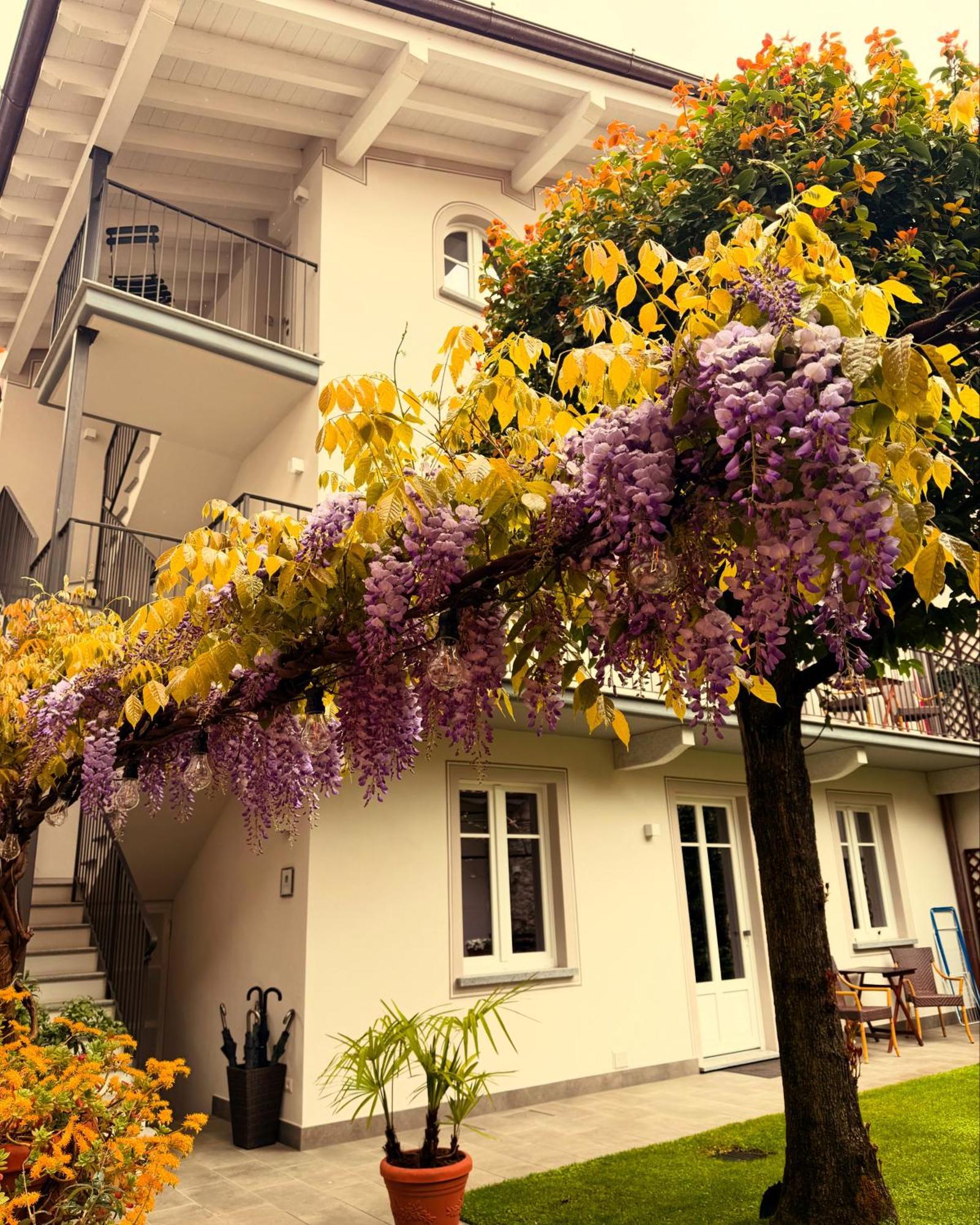 Garden *